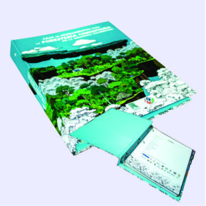 Bea Soluciones Editorial