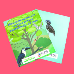 Bea Soluciones Editorial