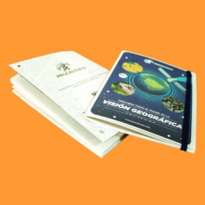 Bea Soluciones piezas publicitarias